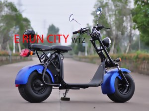 CITY COCO HOMOLOGUE ROUTE 2 PLACES