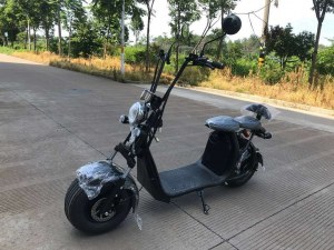 Gofunsport citycoco harley fournisseur de scooter électrique trottinette expédition de...