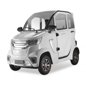 Expédition en gros de voitures électriques de la CEE à partir d'un entrepôt européen