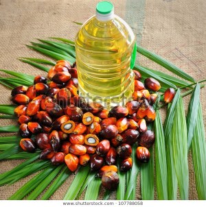 Palm essentail oil