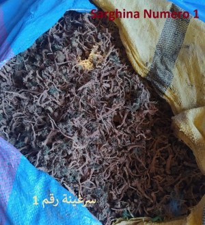 Sarghina for Herbs and Incense