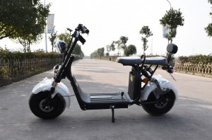 Scooter Electrique City Coco VIADGIO HOMOLOGUÉ 20A 60W