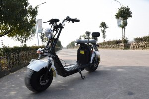Scooter Electrique City Coco VIADGIO HOMOLOGUÉ 20A 60W