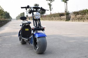 VIADGIO HOMOLOGUÉ Scooter Electrique City Coco 20A 60W