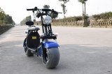 VIADGIO HOMOLOGUÉ Scooter Electrique City Coco 20A 60W