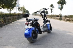 VIADGIO HOMOLOGUÉ Scooter Electrique City Coco 20A 60W