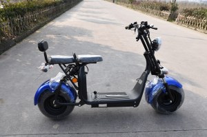VIADGIO HOMOLOGUÉ Scooter Electrique City Coco 20A 60W