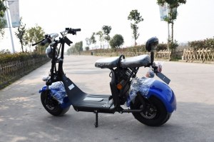 VIADGIO HOMOLOGUÉ Scooter Electrique City Coco 20A 60W