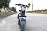 SCOOTER ELECTRIQUE CITY COCO HOMOLOGUÉ 2 PLACES VIADGIO