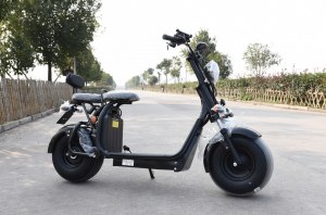SCOOTER ELECTRIQUE CITY COCO HOMOLOGUÉ 2 PLACES VIADGIO