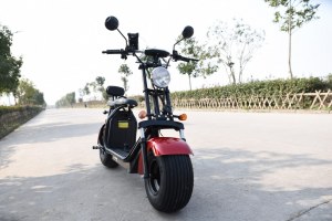 VIADGIO Scooter Electrique City Coco HOMOLOGUÉ 2 Places