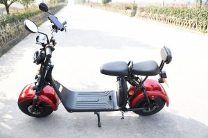 VIADGIO Scooter Electrique City Coco HOMOLOGUÉ 2 Places