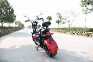 VIADGIO Scooter Electrique City Coco HOMOLOGUÉ 2 Places