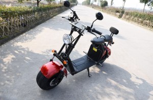 VIADGIO Scooter Electrique City Coco HOMOLOGUÉ 2 Places