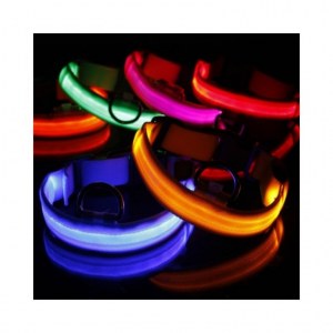 Collier lumineux à LED pour vos chiens lot de 40