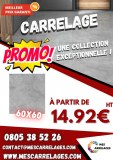 Carrelage 60x60 et 60x120 - Mat et Brillant - William