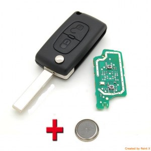 COQUE CLE PILP CLE COMPLETE PEUGEOT 107 207 307 407 CE536 2 BOUTON