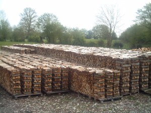 Bois de chauffage sec 100%