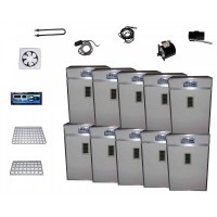 Lot 10 couveuses automatique 1232 oeufs de poule