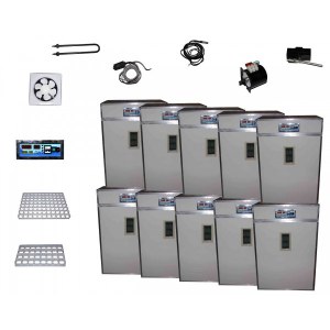 Lot 10 couveuses automatique 1232 oeufs de poule