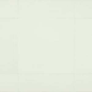 Destockage Dalle PVC haut de gamme Professionnelle U4P3