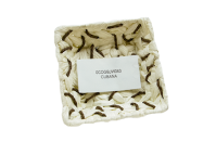 Corbeille
