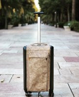 VENTE 10 VALISES CABINE OLENA PARIS