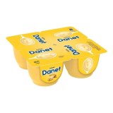 Danet Vanille et chocolat 4120gr