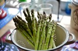 D'aucy - asperges blanches grosses en bocal
