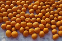 D'aucy - fèves edamame