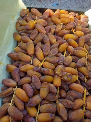 Vente & Exportation de Dattes récolte 2020