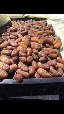 Dattes deglet nour chemroukh et arjoun