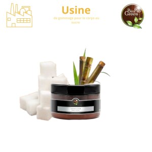 Acheter Gommage au Sucre Naturel – Offre Professionnelle BioProGreen