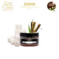 Acheter Gommage au Sucre Naturel – Offre Professionnelle BioProGreen