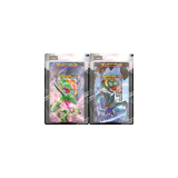 Deck Pokemon Combat-V Rayquaza/Bruyverne