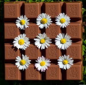 Delacre - biscuits au chocolat au lait belge caramel intense