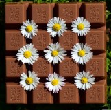 Delacre - biscuits au chocolat au lait belge caramel intense