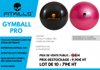 GYMBALL PRO FITKILLS™