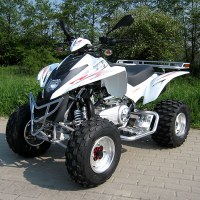 Quads dinli dmx 360hr a vendre