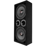 DS18 PRO-X10M 10 Midrange Speakers & PRO-TW1L Tweeters
