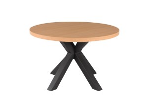 Table de salon- table basse