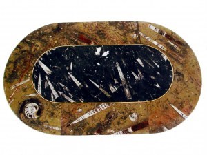 Tables en marbre riche en fossiles datant de plus de 350 millions d'années à commander sur mesure