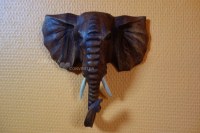 Tête d'Eléphant