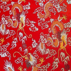 Tissu de brocart au broderie fine - Vente tissus en gros ou moyen quantité (G164)