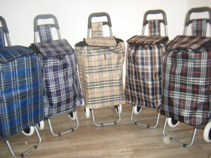 Déstockage liquidation 100 chariots caddies courses à saisir