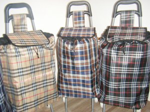 Déstockage liquidation 100 chariots caddies courses à saisir