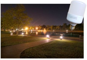 Ampoule LED 15 watts étanche