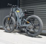 EBike Fatbike 25kmh Coswheel Y16 Electric Bike 1000w