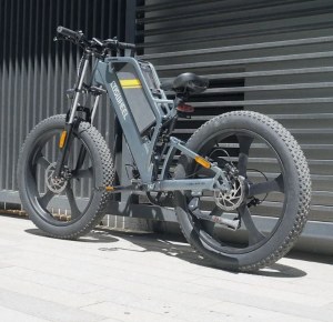 EBike Fatbike 25kmh Coswheel Y16 Electric Bike 1000w