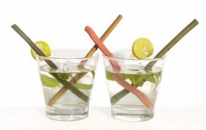 1ere paille comestible vegan 100% naturel